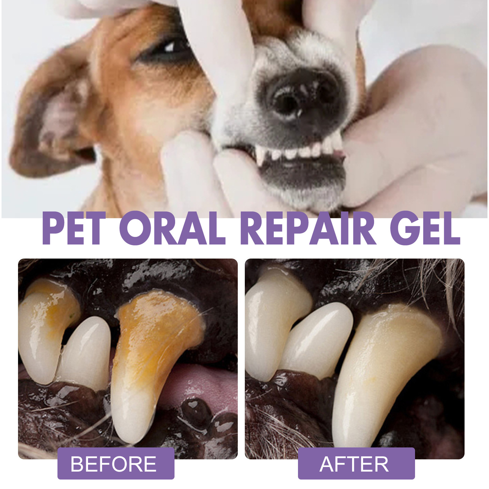 Gel perbaikan mulut hewan peli - Teeth Whitening Products ulasan dan harga